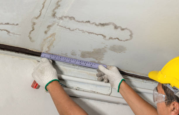 Reliable Water Damage contractor in Pickett, WI by Water Damage Irwin